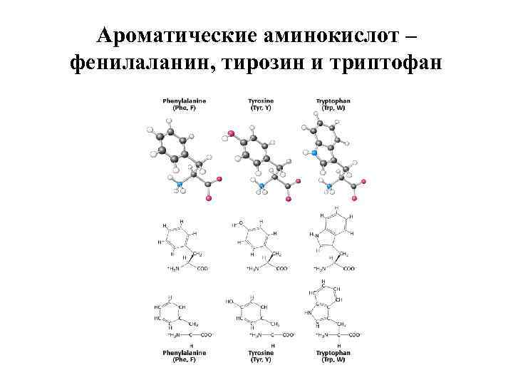 Фенилаланин аминокислота формула. Ароматические аминокислоты формулы. К ароматическим аминокислотам относится. Ароматические аминокислоты примеры. Укажите ароматические аминокислоты..