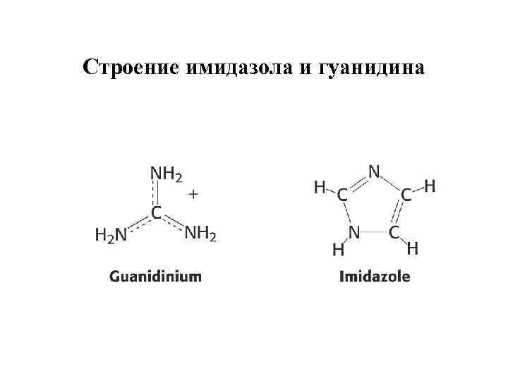 Строение имидазола и гуанидина 