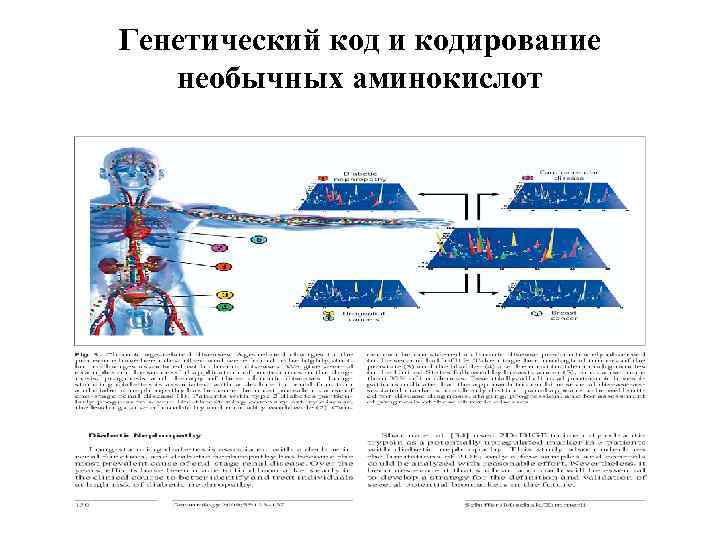 Генетический код и кодирование необычных аминокислот 