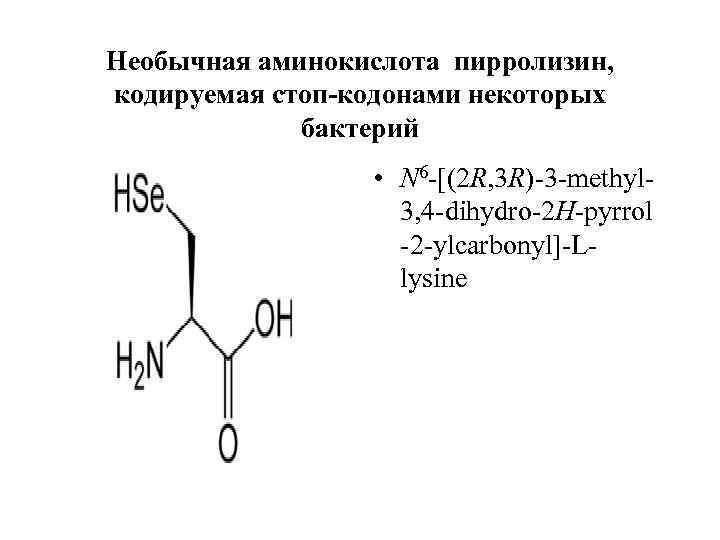 Необычная аминокислота пирролизин, кодируемая стоп-кодонами некоторых бактерий • N 6 -[(2 R, 3 R)-3