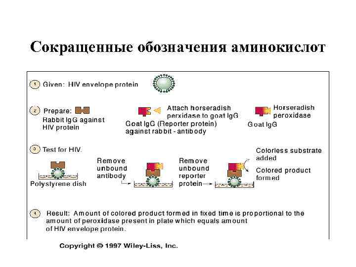 Сокращенные обозначения аминокислот 