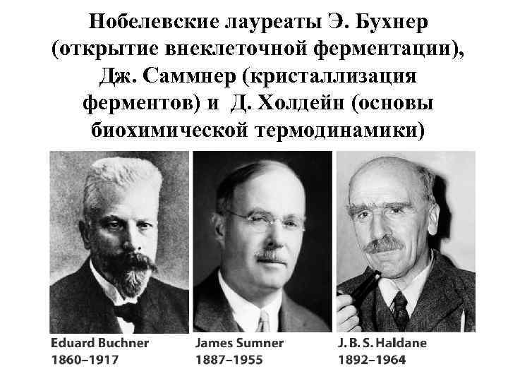 Нобелевские лауреаты Э. Бухнер (открытие внеклеточной ферментации), Дж. Саммнер (кристаллизация ферментов) и Д. Холдейн