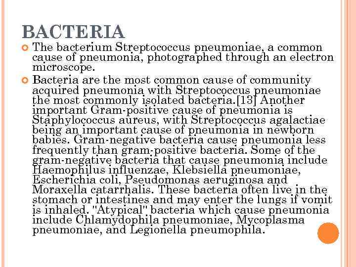 BACTERIA The bacterium Streptococcus pneumoniae, a common cause of pneumonia, photographed through an electron