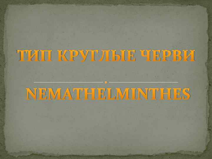 ТИП КРУГЛЫЕ ЧЕРВИ NEMATHELMINTHES 