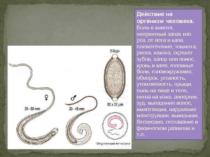 Действие на организм человека. Боли в животе, неприятный запах изо рта, от пота и