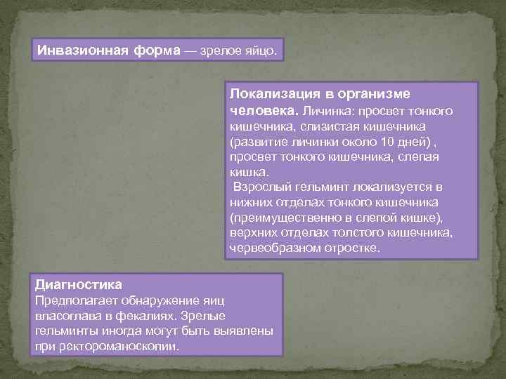 Инвазионная форма — зрелое яйцо. Локализация в организме человека. Личинка: просвет тонкого кишечника, слизистая