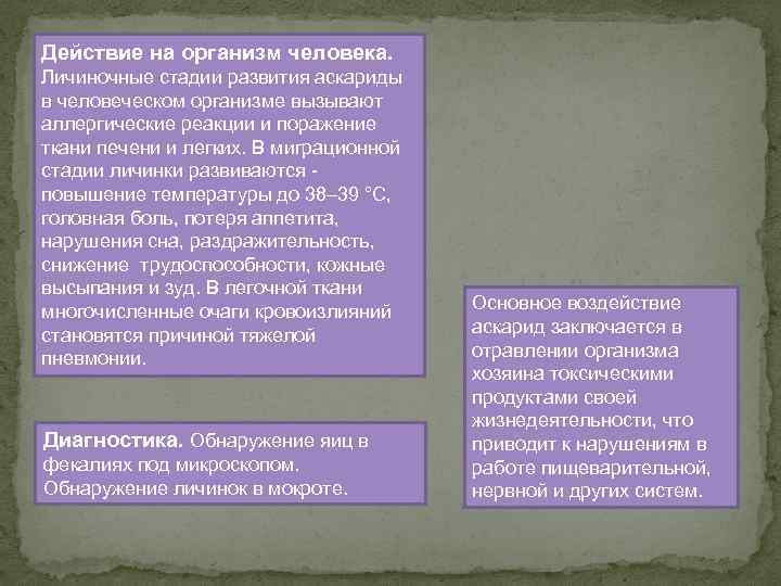 Действие на организм человека. Личиночные стадии развития аскариды в человеческом организме вызывают аллергические реакции