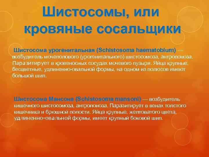 Шистосомы, или кровяные сосальщики Шистосома урогенитальная (Schistosoma haematobium) — возбудитель мочеполового (урогенитального) шистосомоза, антропоноза.