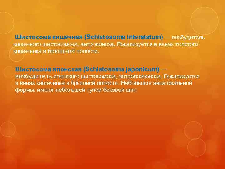 Шистосома кишечная (Schistosoma interalatum) — возбудитель кишечного шистосомоза, антропоноза. Локализуется в венах толстого кишечника