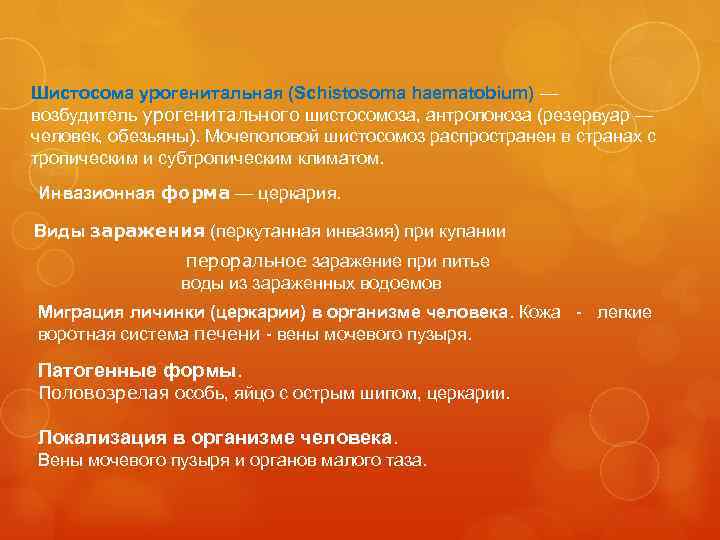 Шистосома урогенитальная (Schistosoma haematobium) — возбудитель урогенитального шистосомоза, антропоноза (резервуар — человек, обезьяны). Мочеполовой