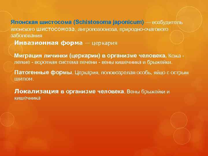 Японская шистосома (Schistosoma japonicum) — возбудитель японского шистосомоза, антропозооноза, природно-очагового заболевания Инвазионная форма —