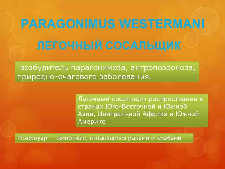 PARAGONIMUS WESTERMANI ЛЕГОЧНЫЙ СОСАЛЬЩИК возбудитель парагонимоза, антропозооноза, природно-очагового заболевания. Легочный сосальщик распространен в странах