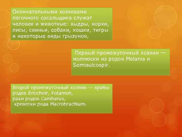 Окончательными хозяевами легочного сосальщика служат человек и животные: выдры, норки, лисы, свиньи, собаки, кошки,