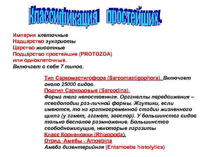 Империя клеточные Надцарство эукариоты Царство животные Подцарство простейшие (PROTOZOA) или одноклеточные. Включает в себя