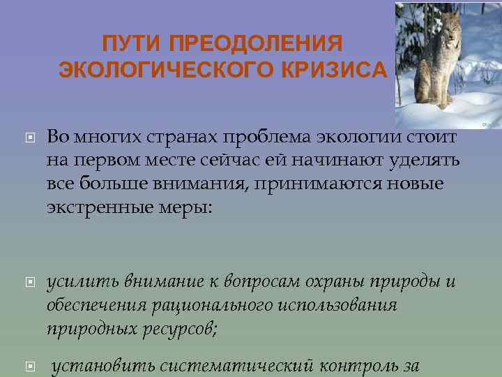 ПУТИ ПРЕОДОЛЕНИЯ ЭКОЛОГИЧЕСКОГО КРИЗИСА Во многих странах проблема экологии стоит на первом месте сейчас