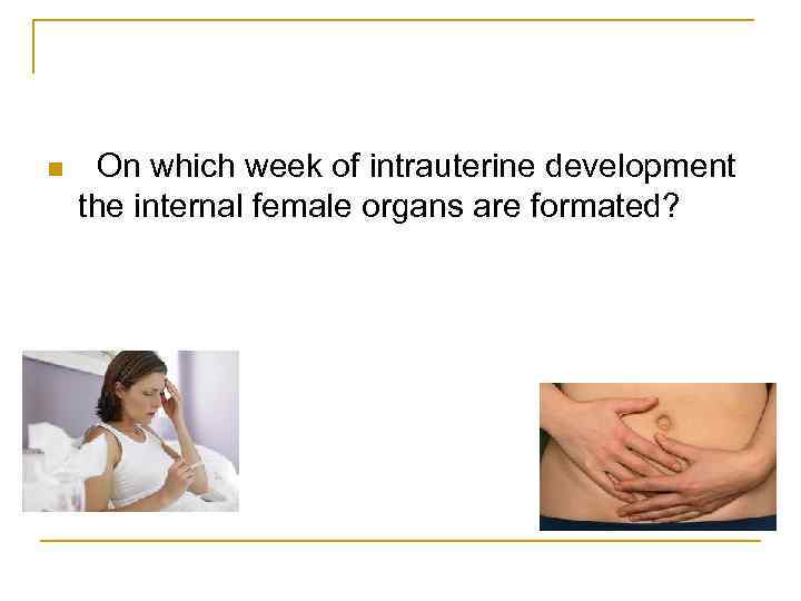 n On which week of intrauterine development the internal female organs are formated? 