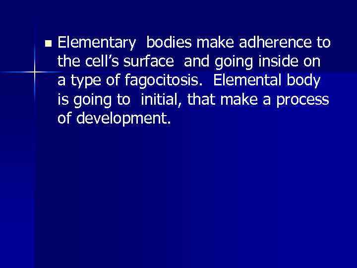 n Elementary bodies make adherence to the cell’s surface and going inside on a