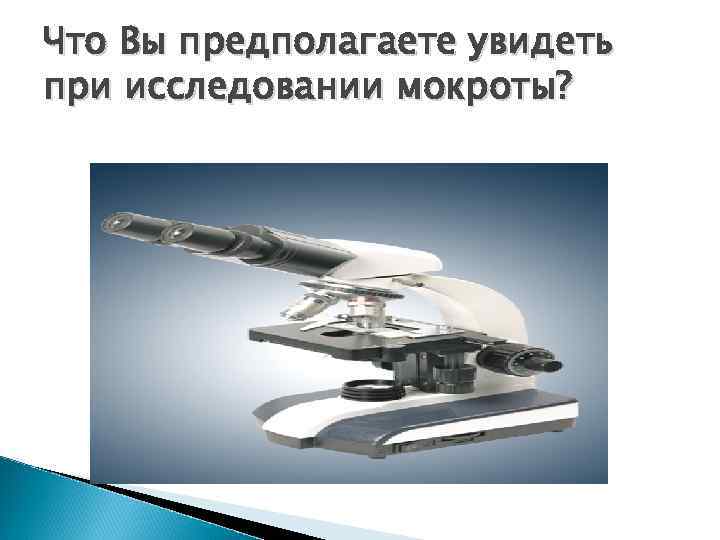 Что Вы предполагаете увидеть при исследовании мокроты? 