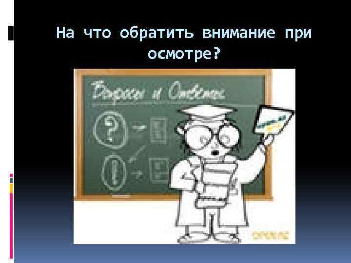 На что обратить внимание при осмотре? 