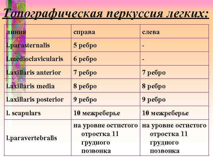 Топографическая перкуссия легких: линия справа слева l. parasternalis 5 ребро - l. medioclavicularis 6