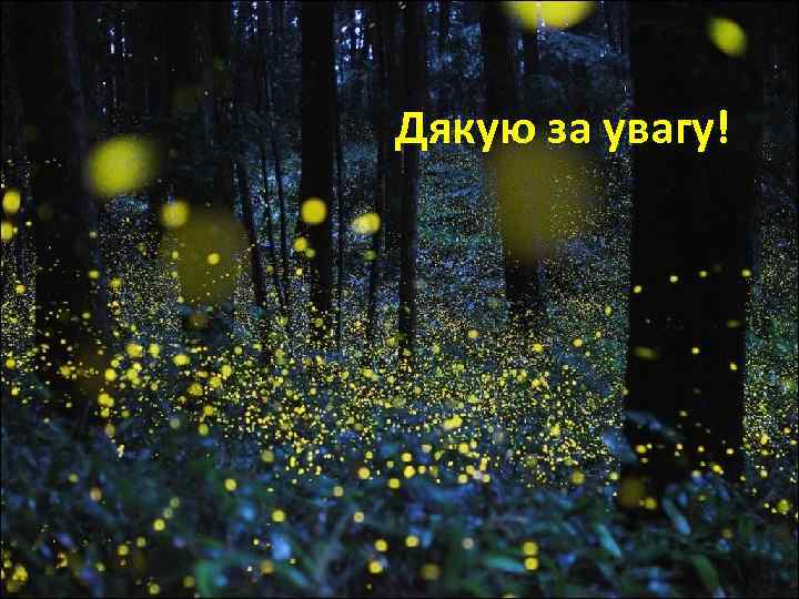 Дякую за увагу! 