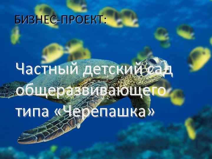 БИЗНЕС-ПРОЕКТ: Частный детский сад общеразвивающего типа «Черепашка» 