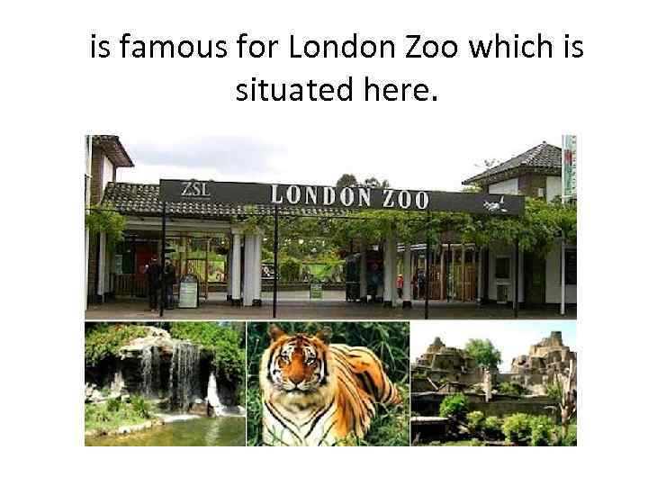 is famous for London Zoo which is situated here. 