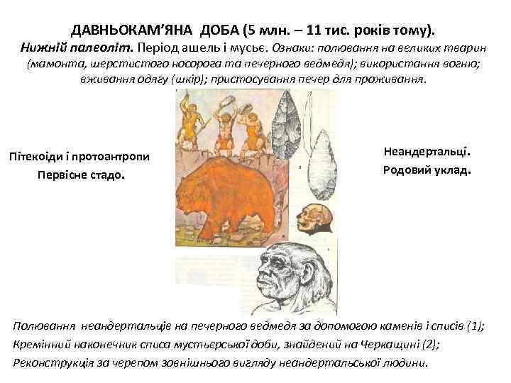 ДАВНЬОКАМ’ЯНА ДОБА (5 млн. – 11 тис. років тому). Нижній палеоліт. Період ашель і