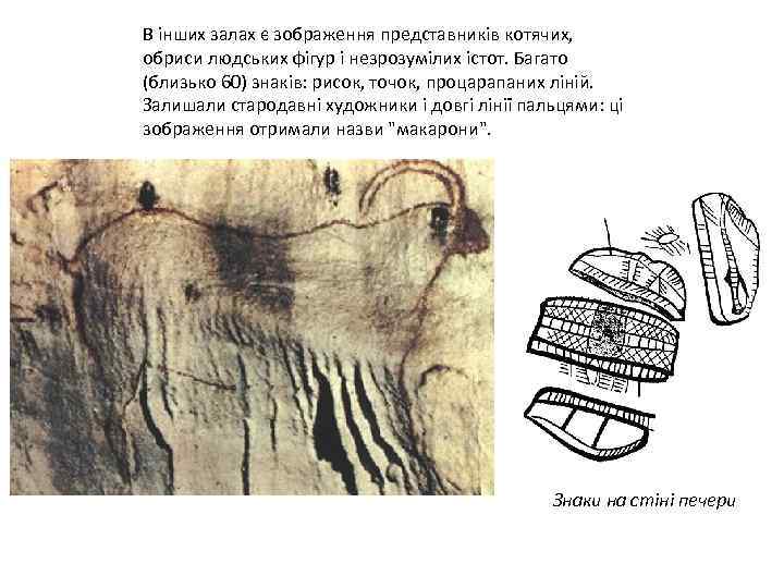 В інших залах є зображення представників котячих, обриси людських фігур і незрозумілих істот. Багато