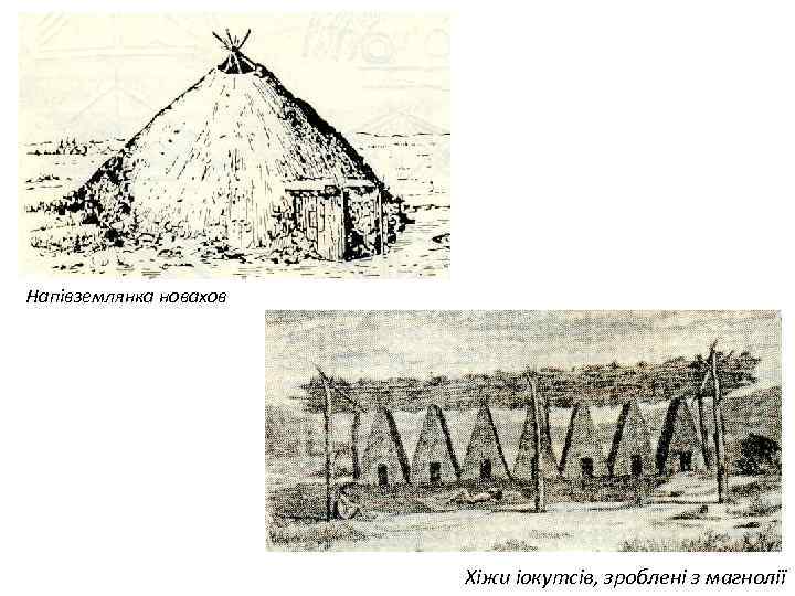 Напівземлянка новахов Хіжи іокутсів, зроблені з магнолії 