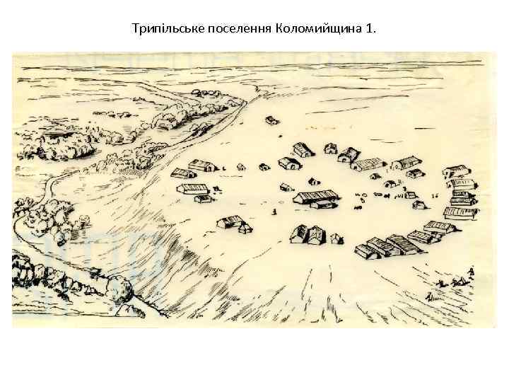 Трипільське поселення Коломийщина 1. 