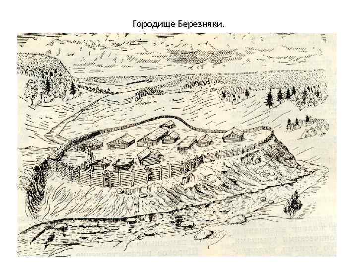 Городище Березняки. 