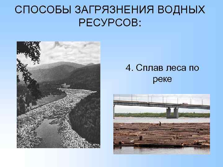 СПОСОБЫ ЗАГРЯЗНЕНИЯ ВОДНЫХ РЕСУРСОВ: 4. Сплав леса по реке 