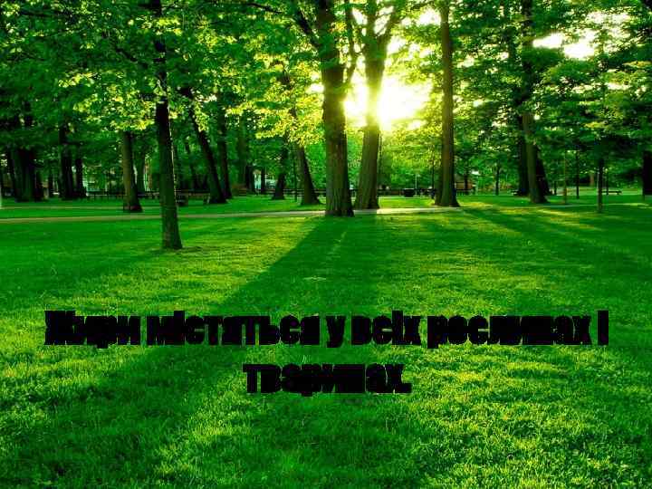 Жири містяться у всіх рослинах і тваринах. 