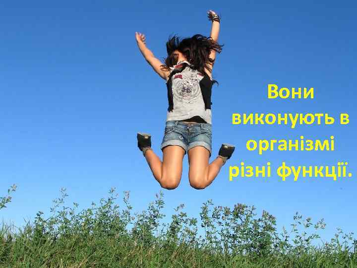 Вони виконують в організмі різні функції. 