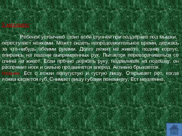 5 месяцев: Ребенок устойчиво стоит всей ступней при поддержке под мышки, переступает ножками. Может