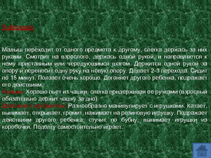 9 месяцев: Малыш переходит от одного предмета к другому, слегка держась за них руками.
