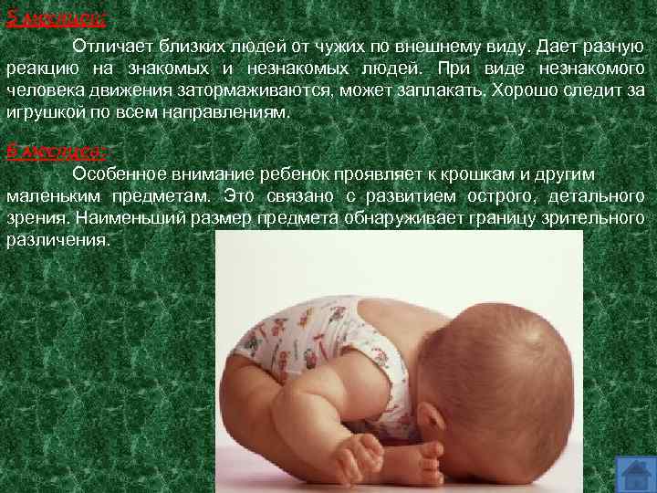 5 месяцев: Отличает близких людей от чужих по внешнему виду. Дает разную реакцию на