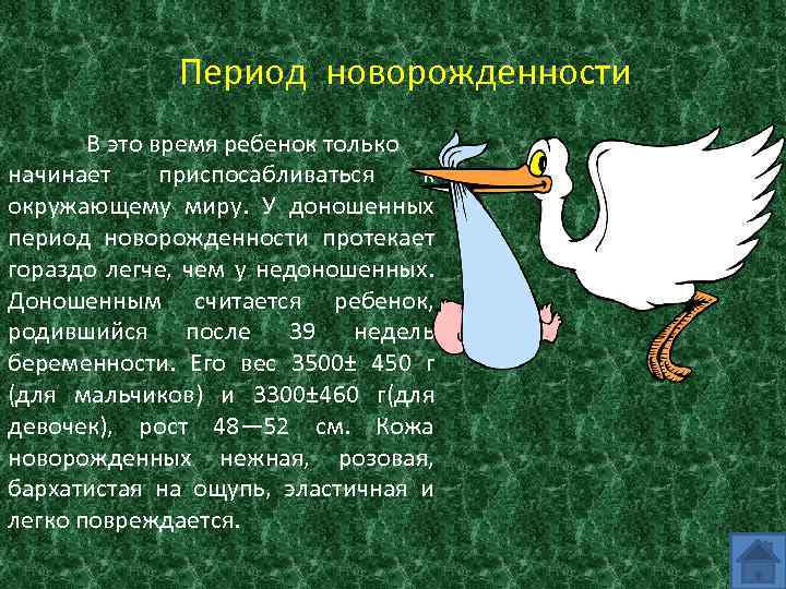 Период новорожденности В это время ребенок только начинает приспосабливаться к окружающему миру. У доношенных
