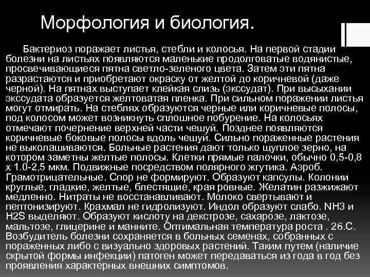 Морфология и биология. Бактериоз поражает листья, стебли и колосья. На первой стадии болезни на