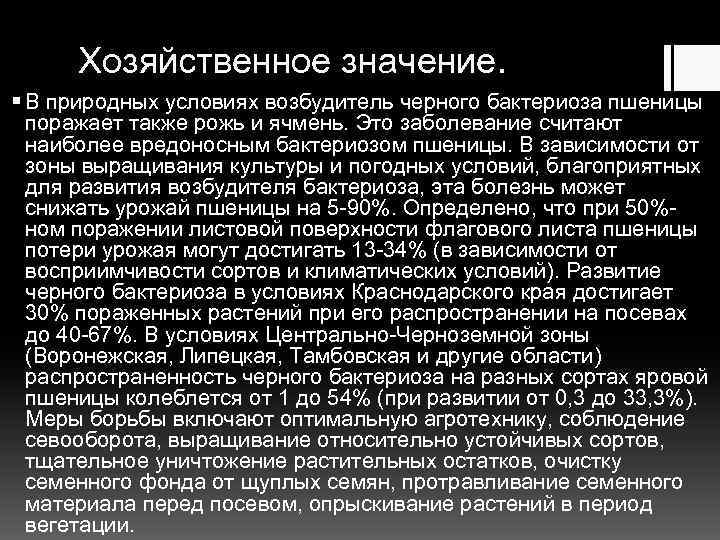 Хозяйственное значение. § В природных условиях возбудитель черного бактериоза пшеницы поражает также рожь и