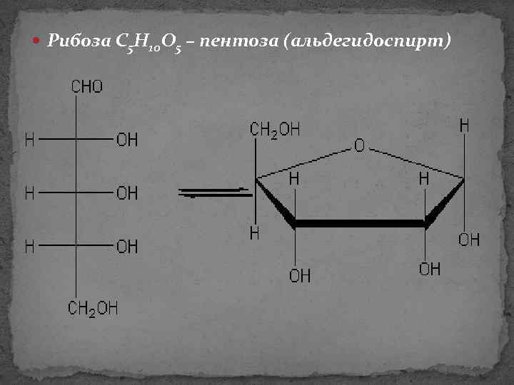  Рибоза C 5 H 10 O 5 – пентоза (альдегидоспирт) 