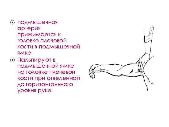 подмышечная артерия прижимается к головке плечевой кости в подмышечной ямке ⦿ Пальпируют в подмышечной