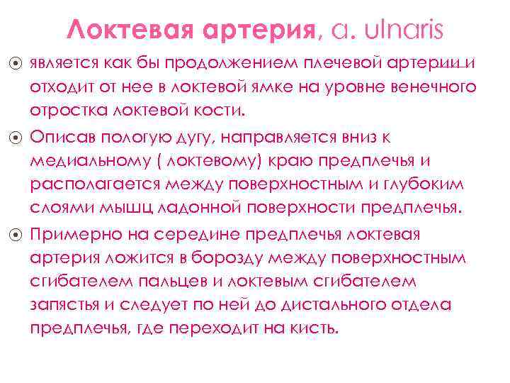 Локтевая артерия, a. ulnaris ⦿ является как бы продолжением плечевой артерии и отходит от