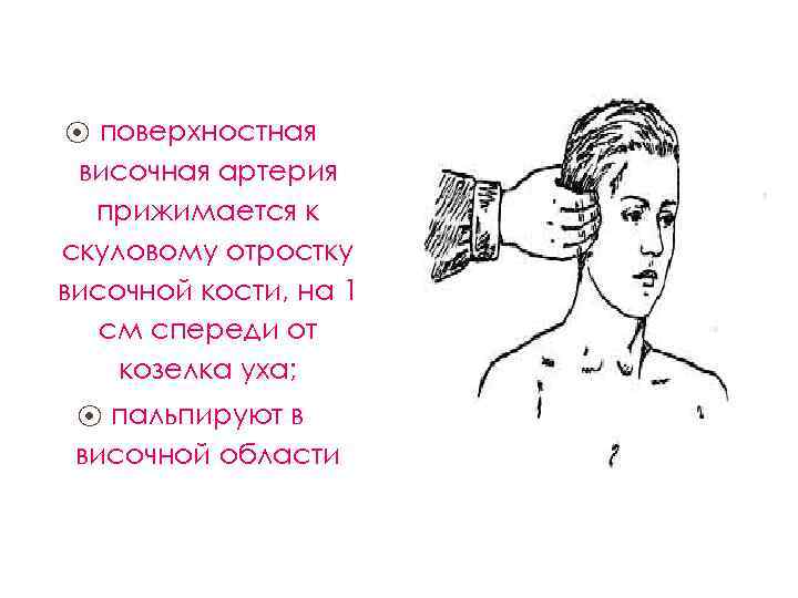 поверхностная височная артерия прижимается к скуловому отростку височной кости, на 1 см спереди от