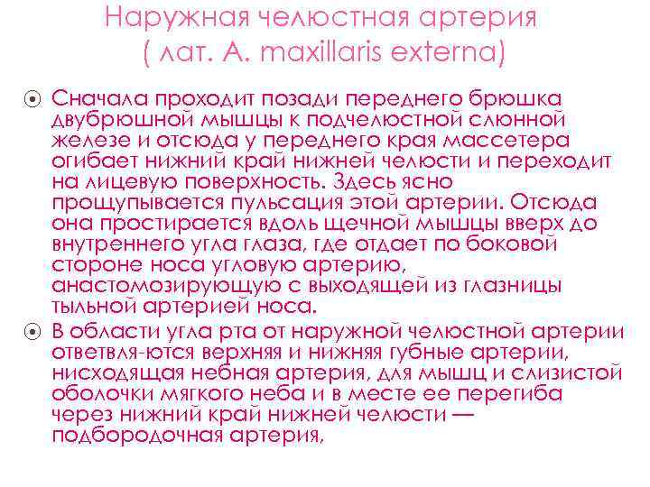Наружная челюстная артерия ( лат. А. maxillaris externa) Сначала проходит позади переднего брюшка двубрюшной