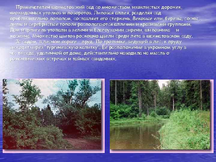  Примечателен шахматовский сад со множеством извилистых дорожек, неожиданных уголков и поворотов. Липовая аллея,