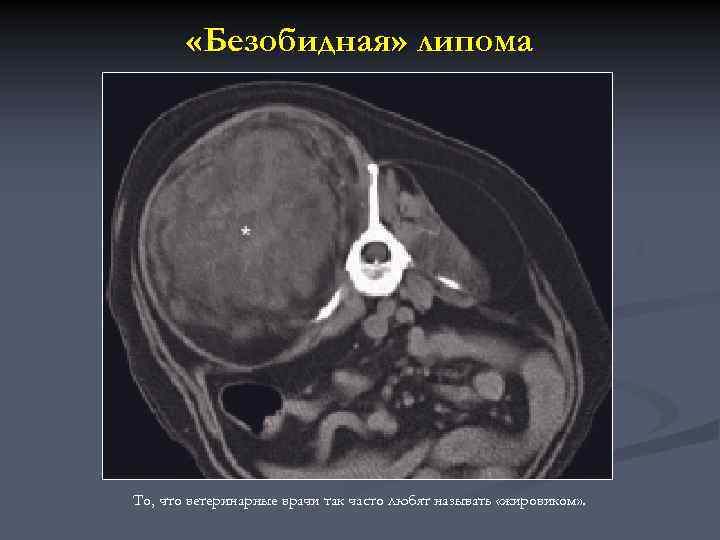  «Безобидная» липома То, что ветеринарные врачи так часто любят называть «жировиком» . 