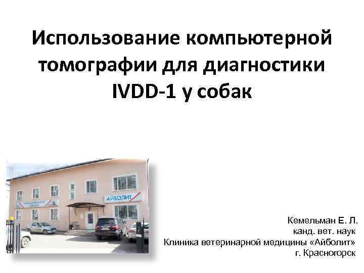 Использование компьютерной томографии для диагностики IVDD-1 у собак Кемельман Е. Л. канд. вет. наук