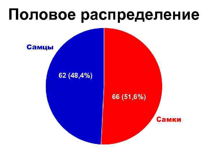 Половое распределение Самцы 62 (48, 4%) 66 (51, 6%) 